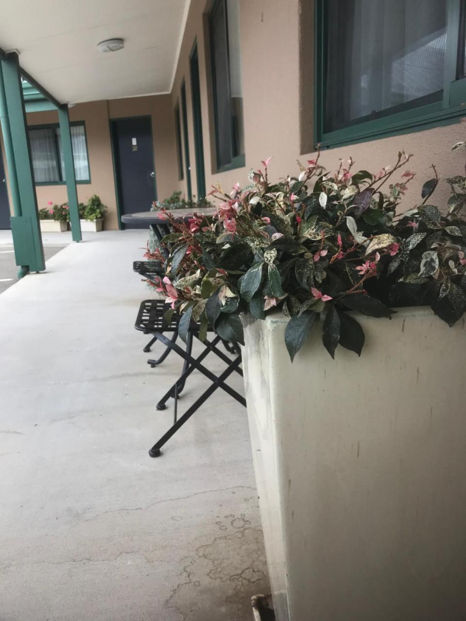 The Bakehouse Motel Goulburn Extérieur photo